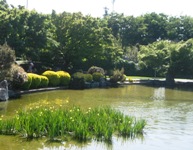 Japanese Friendship Garden San Jose 14.JPG